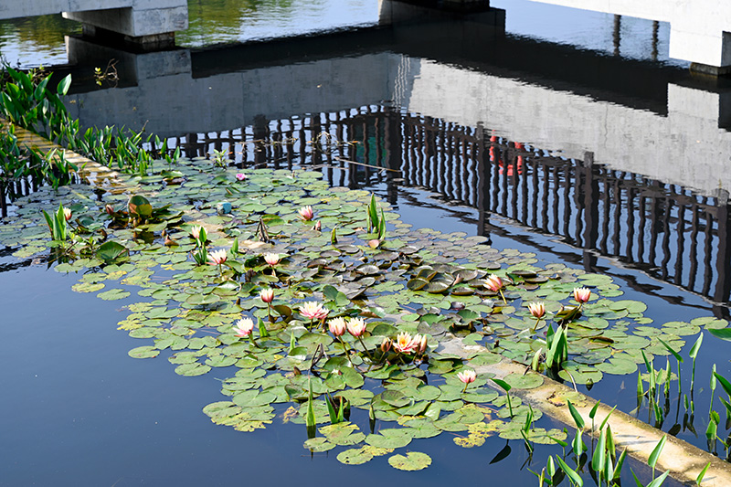 圖片關(guān)鍵詞